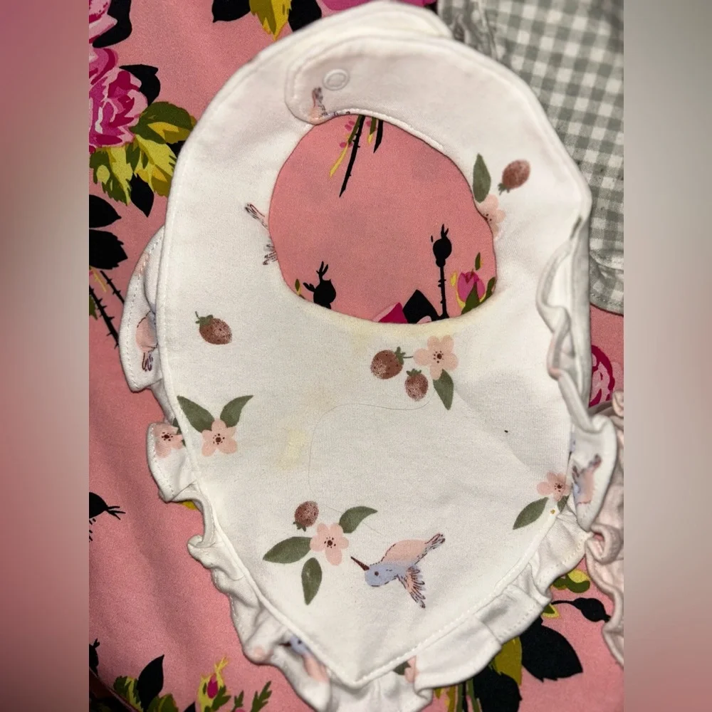 Carters humming bird strawberry baby bibs set of 3 gingham pink ruffle trim p/o